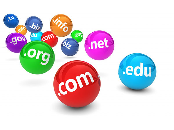 What You Should Know About Your Website, Domain, and Hosting